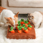 Snuffelmat met Wortels