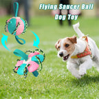 Interactieve Speelbal voor Honden