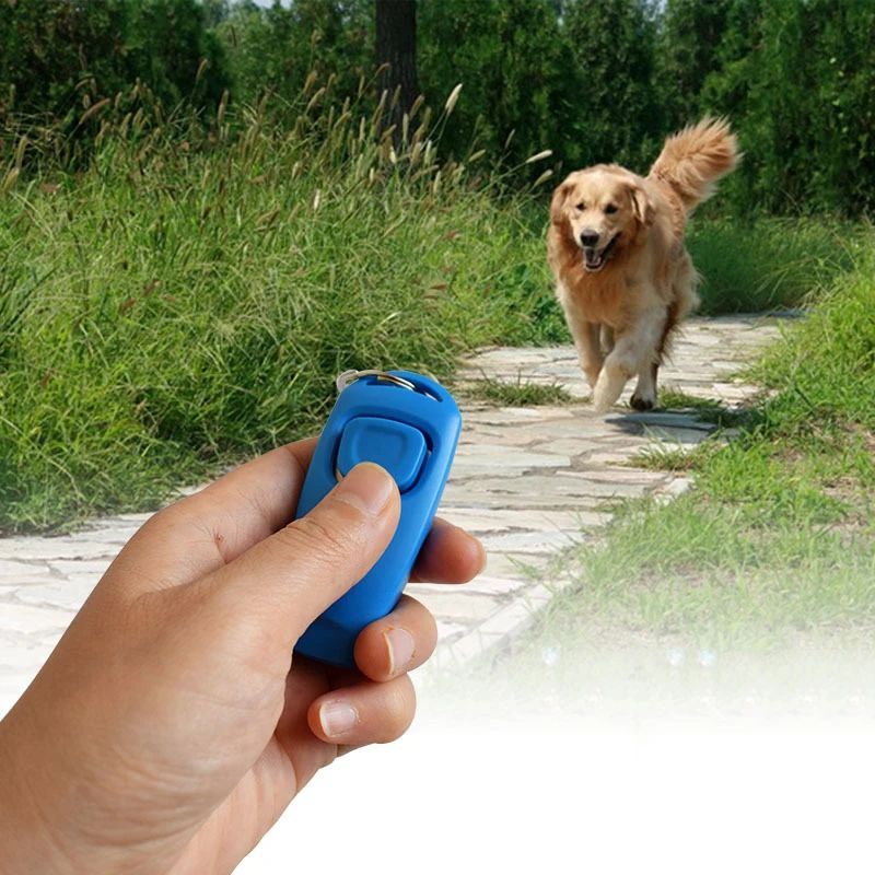 Trainingsclicker met Fluitje
