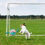 Interactieve Speelbal voor Honden