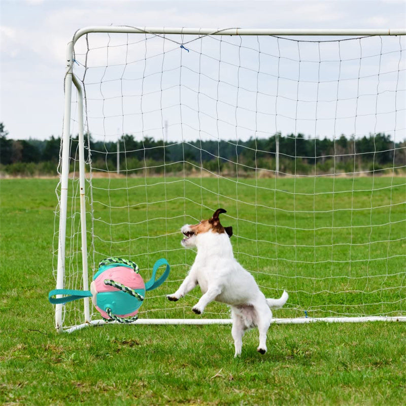 Interactieve Speelbal voor Honden