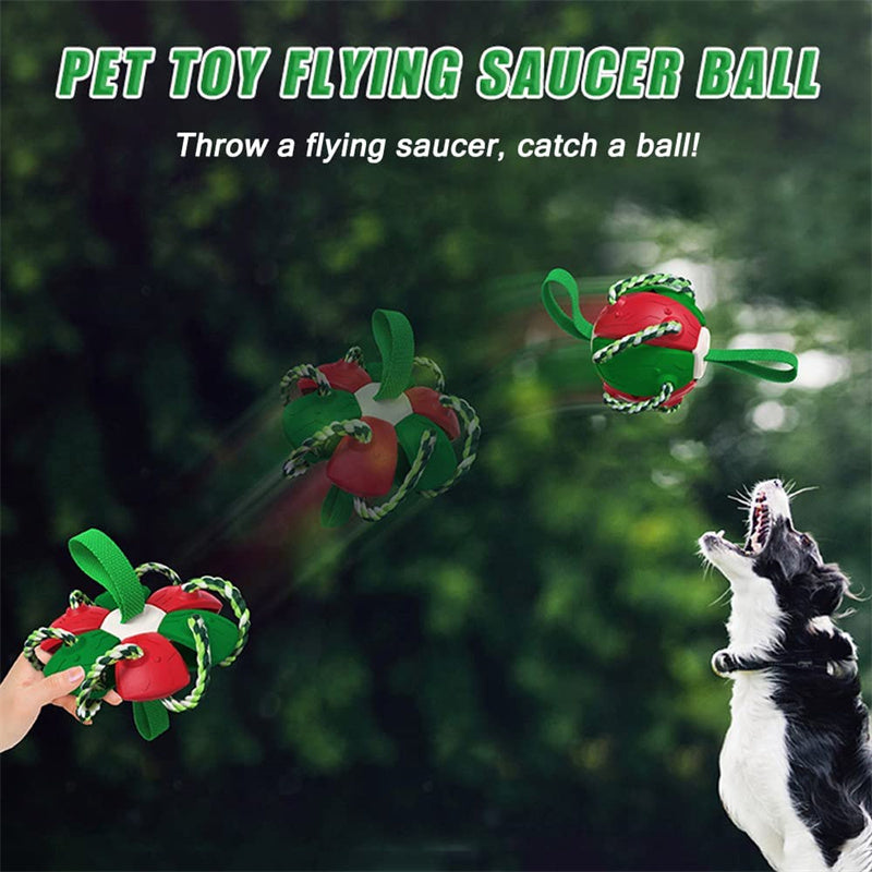 Interactieve Speelbal voor Honden