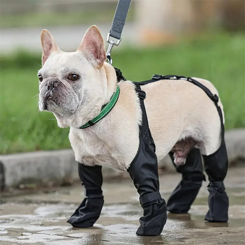 Waterdichte verstelbare hondenschoenen
