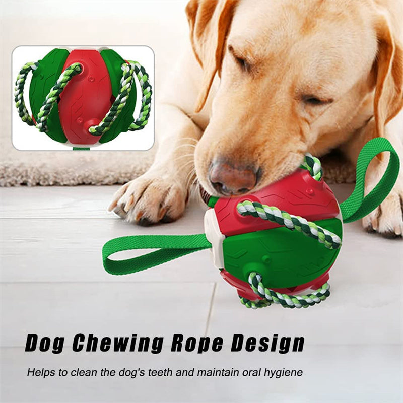 Interactieve Speelbal voor Honden