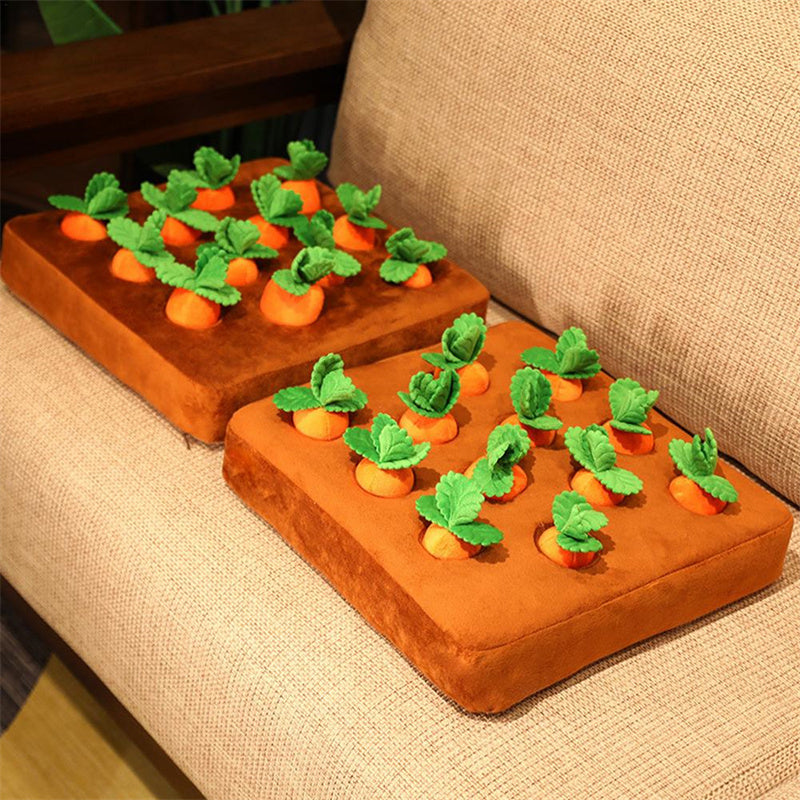 Snuffelmat met Wortels