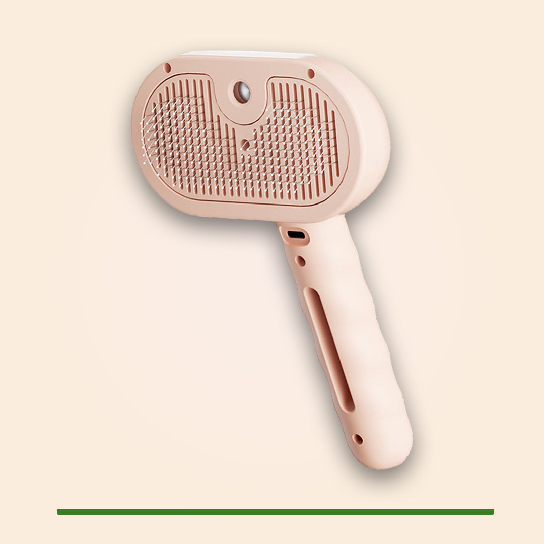 AquaBrush Ultra - Stoomborstel