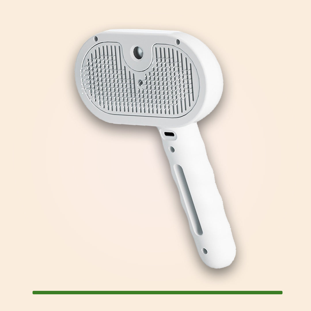 AquaBrush Ultra - Stoomborstel