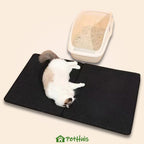 CleanStep - Kattenbakmat