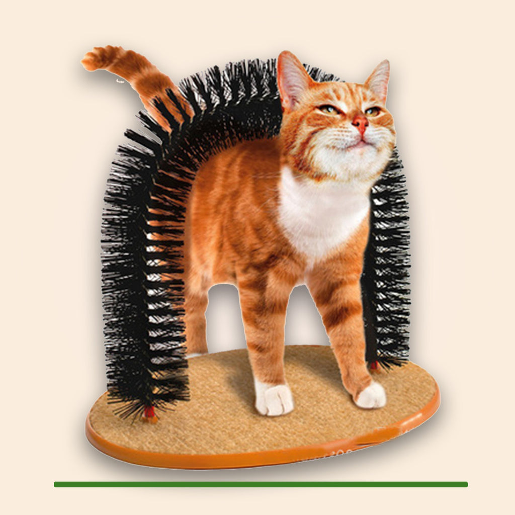 Katten Borstelboog