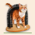 Katten Borstelboog