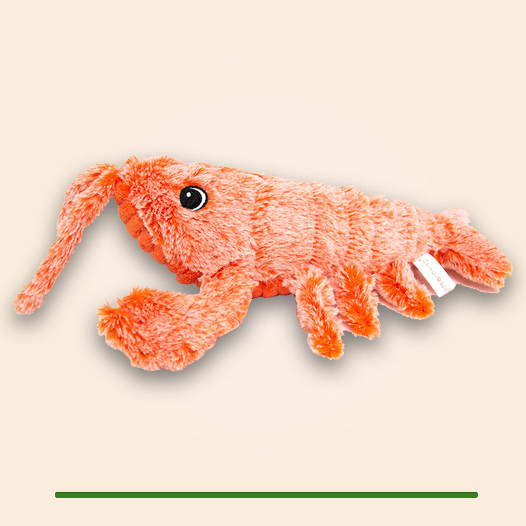 Springende Garnaal USB