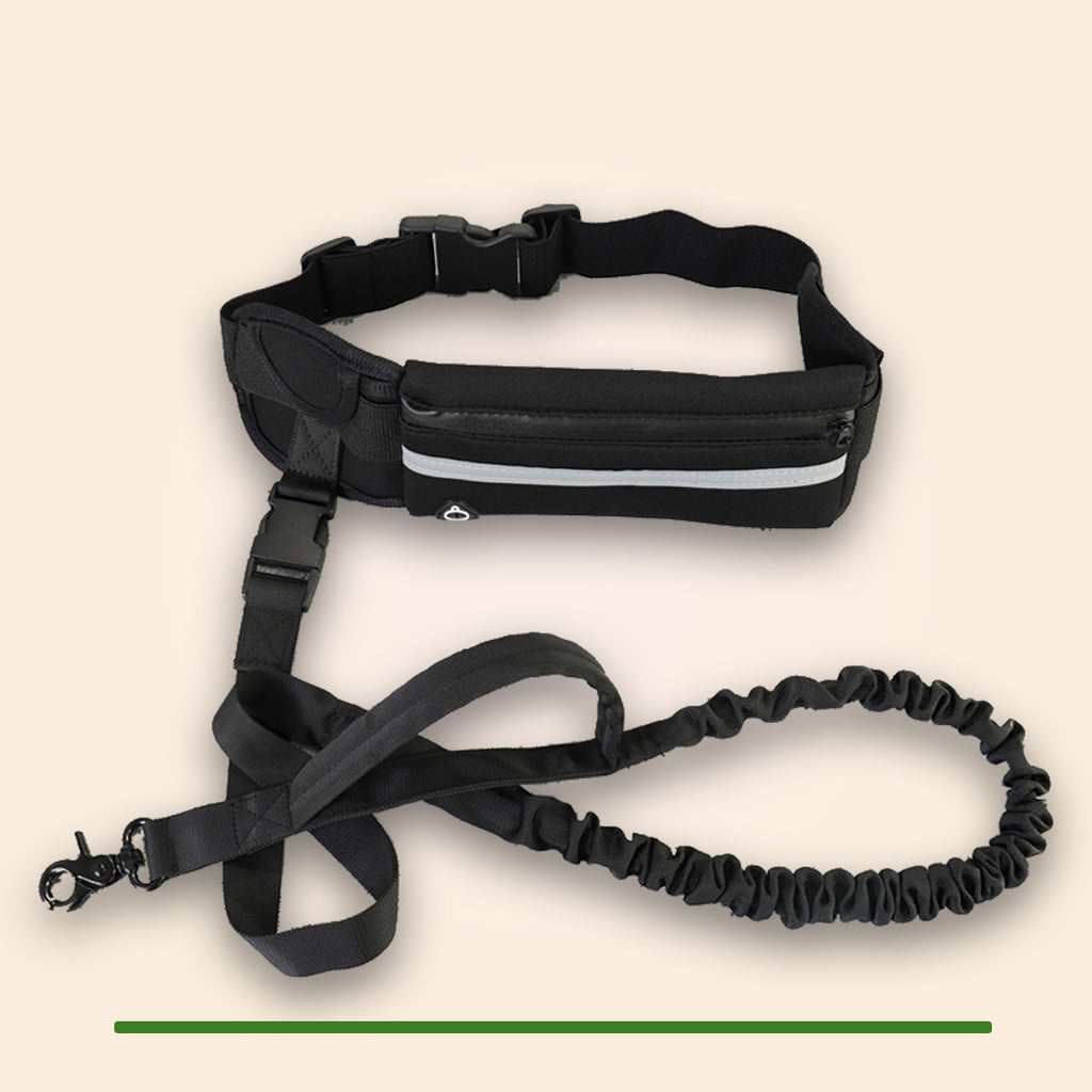 Verstelbare handsfree hondenriem