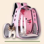 Transparante Draagtas voor Katten
