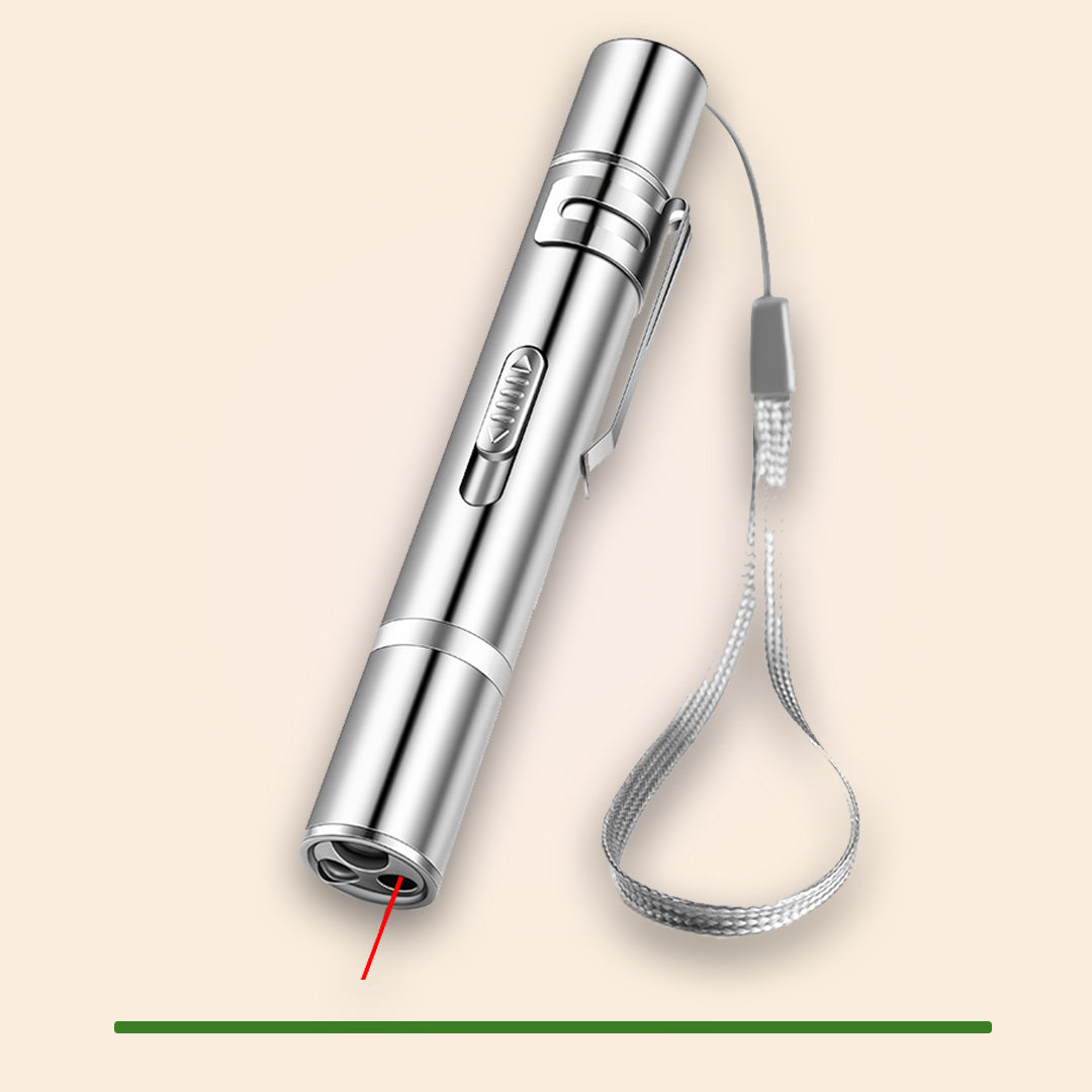 USB Oplaadbare Laser Pointer