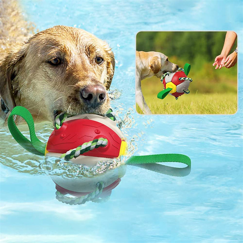 Interactieve Speelbal voor Honden