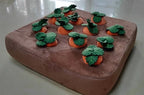 Snuffelmat met Wortels