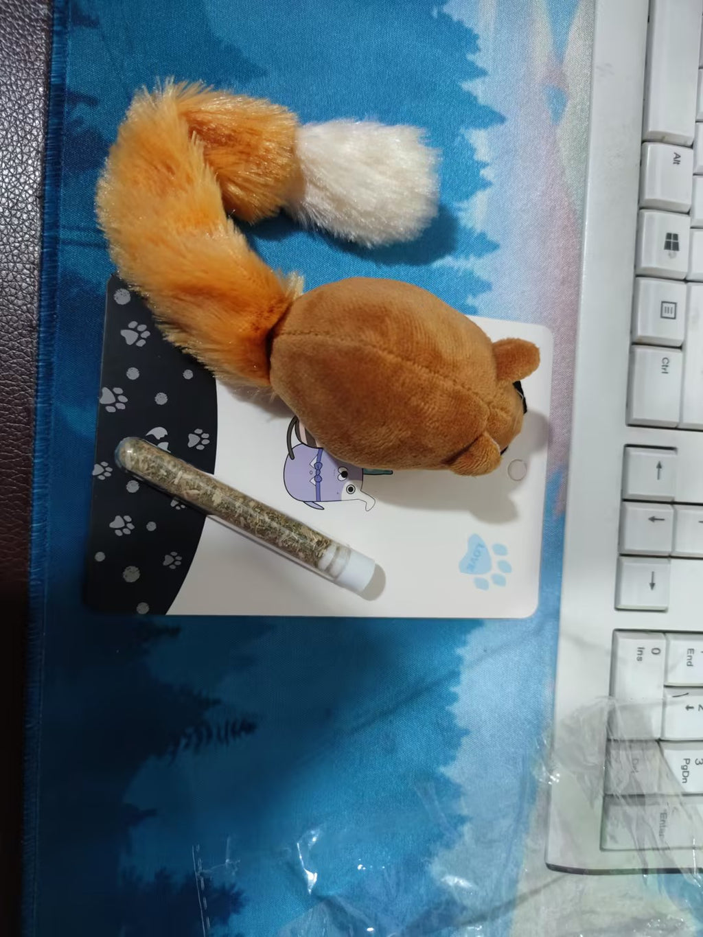Lange Speelmuis met Kattenkruid