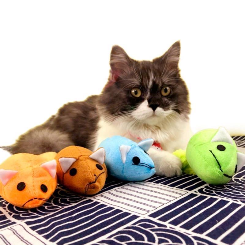 Lange Speelmuis met Kattenkruid