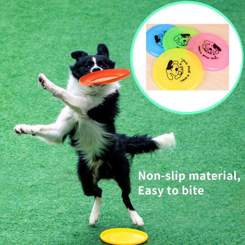 Pet Frisbee