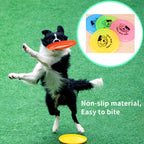 Pet Frisbee