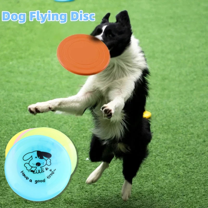 Pet Frisbee