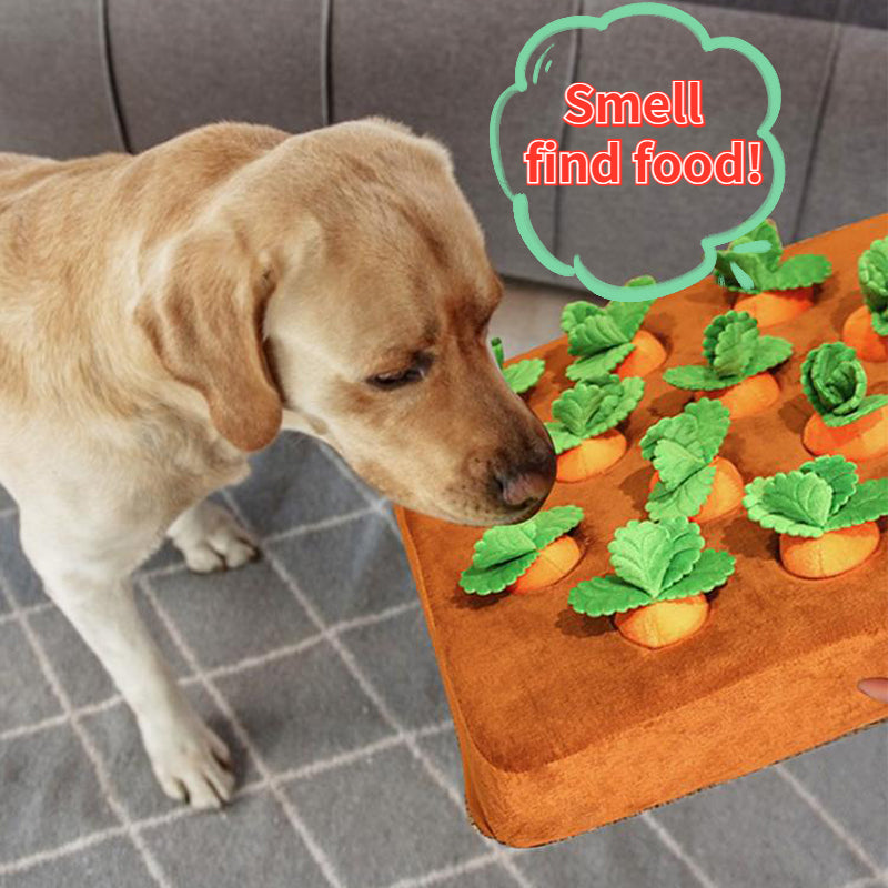 Snuffelmat met Wortels