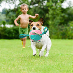 Interactieve Speelbal voor Honden