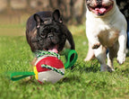 Interactieve Speelbal voor Honden